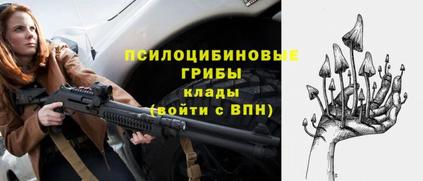 дмт Арсеньев