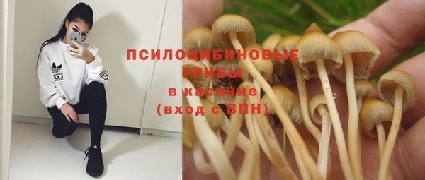 дмт Арсеньев