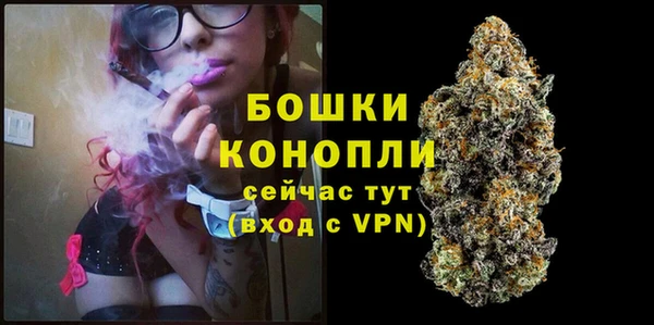 дмт Арсеньев