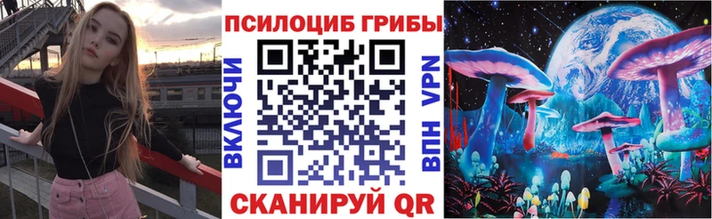наркотики  Снежногорск  Псилоцибиновые грибы мицелий 
